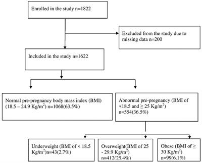 Epidemiology of pre-pregnancy body mass index (BMI) among mothers in Abu Dhabi, the United Arab Emirates